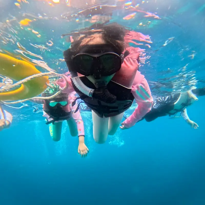 anorkeling di pulau menjangan dengan menggunakan roda pelampung