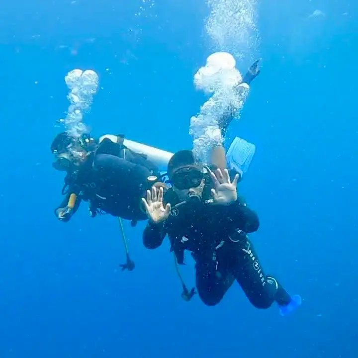 menyelam atau scuba dive di pulau menjangan dipandu oleh dive master